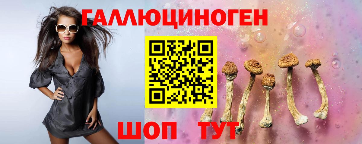 Галлюциногенные грибы Cubensis  Вход с VPN  сколько стоит  Псилоцибиновые грибы MAGIC MUSHROOMS  Дзержинск 